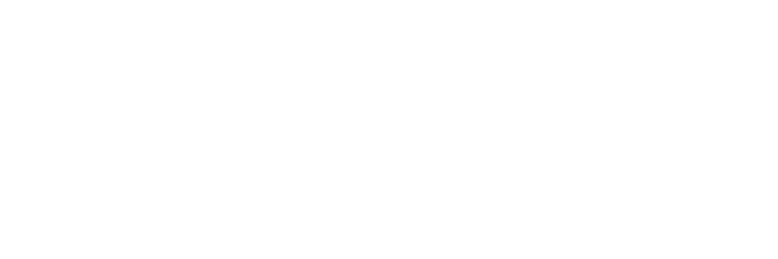 SGV GROUP